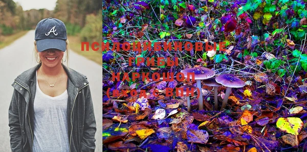 марки lsd Новозыбков