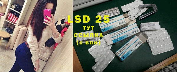 марки lsd Новозыбков