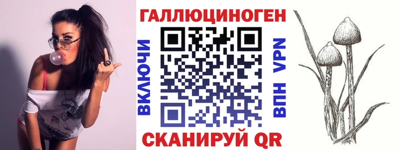 Псилоцибиновые грибы Psilocybe  Устюжна 